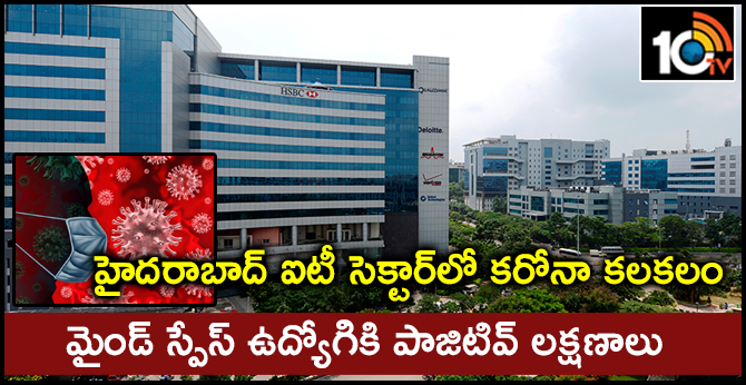 హైదరాబాద్ ఐటీసెక్టార్లో కరోనా కలకలం : మైండ్స్పేస్ ఉద్యోగికి పాజిటివ్ లక్షణాలు హైదరాబాద్ ఐటీసెక్టార్లో కరోనా కలకలం : మైండ్స్పేస్ ఉద్యోగికి పాజిటివ్ లక్షణాలు