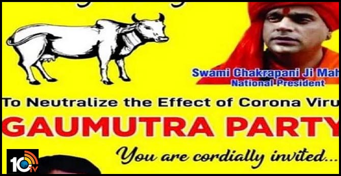 Hindu Mahasabha to hold ‘Gaumutra Party’ to ward off coronavirus!
