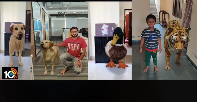 Google 3D animals: How to watch AR tiger, duck, dog and other animals in your room