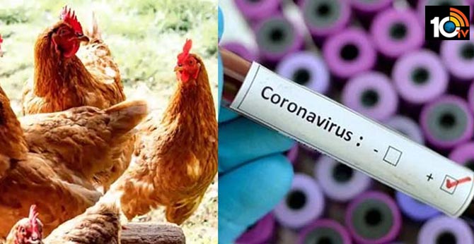 Gorakhpur organizes free chicken mela to shatter coronavirus myths