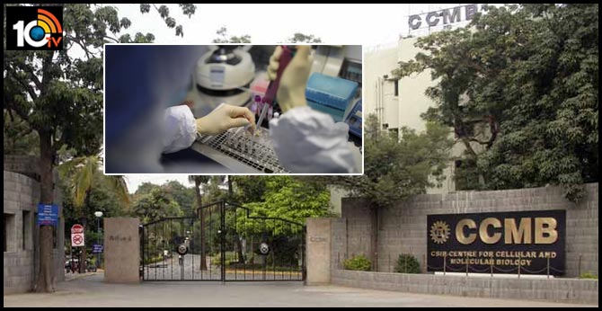 Hyderabad CCMB reday for coronavirus test cases