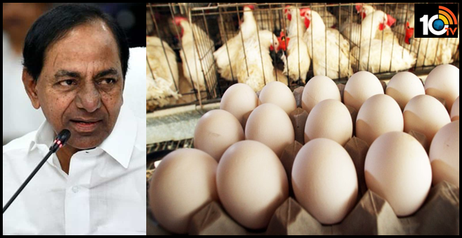 KCR announcement: Full demand for chicken, Eggs