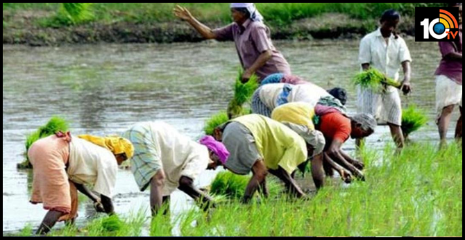 రైతు బంధు పథకానికి రూ.333.29 కోట్లు విడుదల రైతు బంధు పథకానికి రూ.333.29 కోట్లు విడుదల