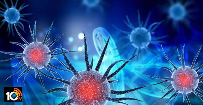 Bulletin released on coronavirus antiviral activity in AP