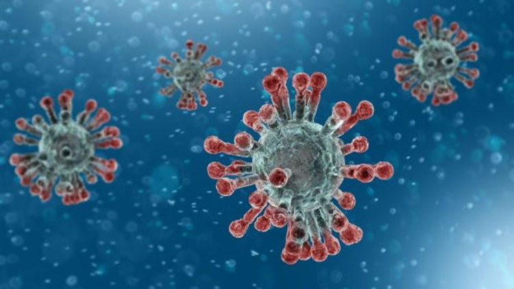 TS government released brocher on coronavirus