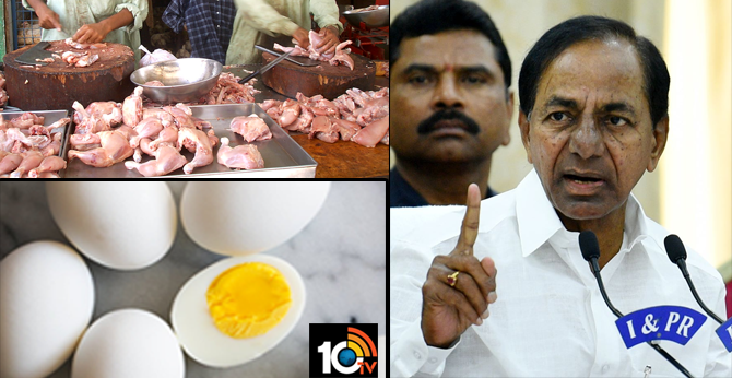 Chicken, Eggs, can eat will Immunity power increased, says KCR