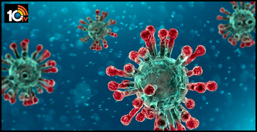 68-Year-Old Woman In Delhi Dies Of Coronavirus, Second Death In India