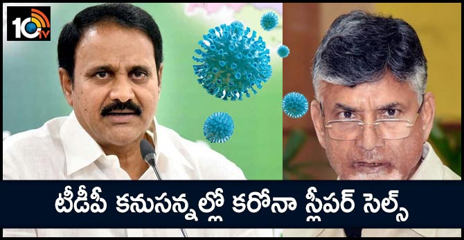 ap-minister-mopidevi-sensational-comments-tdp