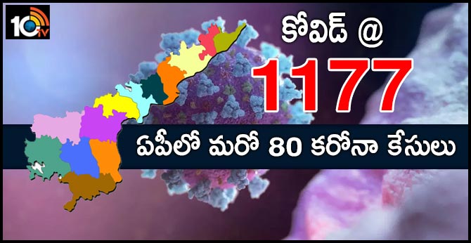 ఏపీలో మరో 80 కరోనా కేసులు.. కోవిడ్ @1177 ఏపీలో మరో 80 కరోనా కేసులు.. కోవిడ్ @1177