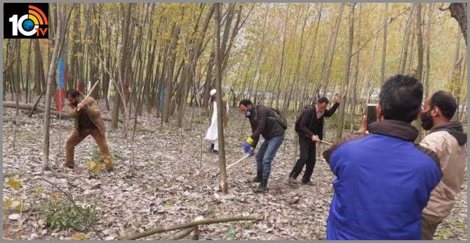 Authorities in Kashmir axing poplar trees to fight COVID-19