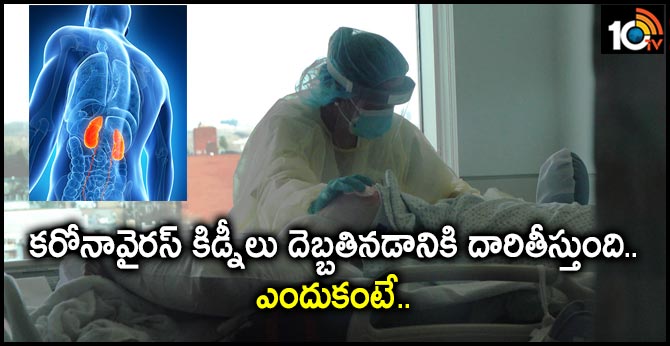కరోనావైరస్ కిడ్నీలు దెబ్బతినడానికి దారితీస్తుంది.. ఎందుకంటే.. కరోనావైరస్ కిడ్నీలు దెబ్బతినడానికి దారితీస్తుంది.. ఎందుకంటే..