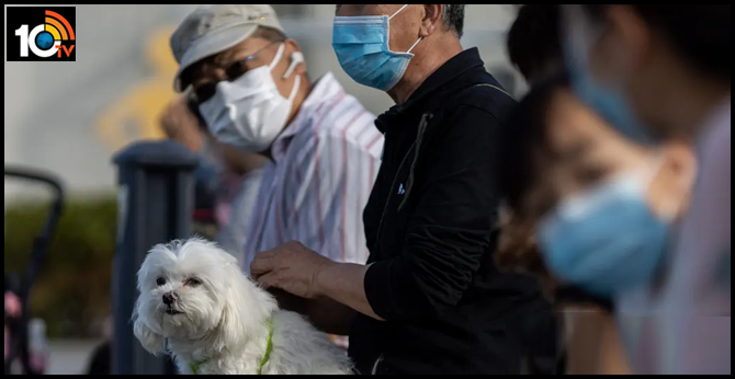 Coronavirus will not spread from Pets to owners, Veterinary scientists