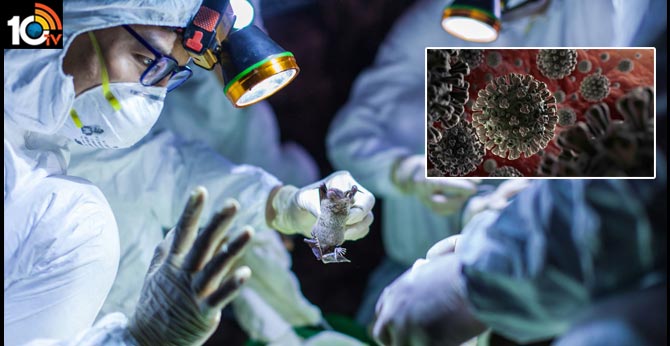 Global coronavirus cases cross 1,500,000