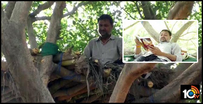 Hapur man builds makeshift tree house to spend time amid lockdown