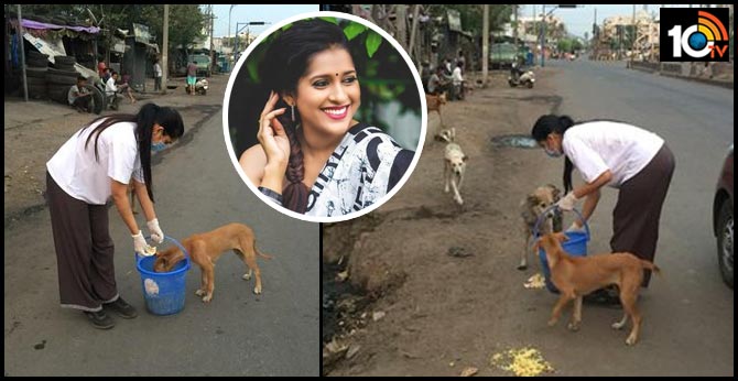 Rashmi Gautham Feed Street Dogs