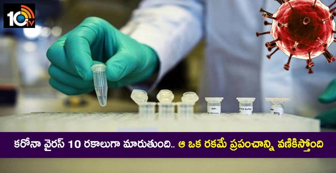 Virus has mutated into 10 types, one now dominant across regions: Study