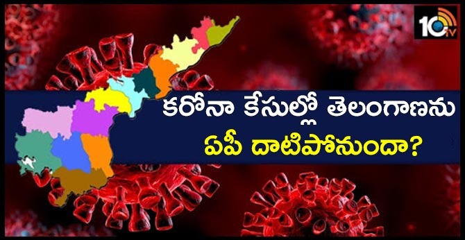 coronavirus cases reach 955 in ap