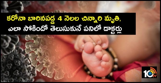 కరోనా బారినపడ్డ 4 నెలల చిన్నారి మృతి, ఎలా సోకిందో తెలుసుకునే పనిలో డాక్టర్లు కరోనా బారినపడ్డ 4 నెలల చిన్నారి మృతి, ఎలా సోకిందో తెలుసుకునే పనిలో డాక్టర్లు