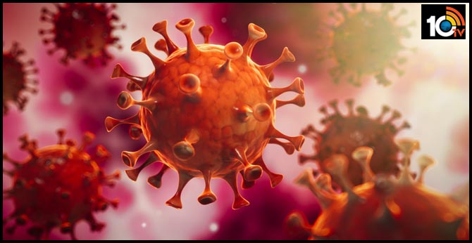 Coronavirus mutated into three distinct strains as it spread across the world As Type a, b, c