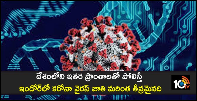 Indore corona strain may be more virulent
