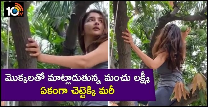 Manchu Lakshmi about Mango Tree in at her House