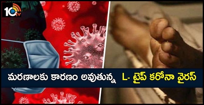 గుజరాత్ మరణాలకు కారణం అవుతున్న వూహాన్ L- టైప్ కరోనా వైరస్ గుజరాత్ మరణాలకు కారణం అవుతున్న వూహాన్ L- టైప్ కరోనా వైరస్