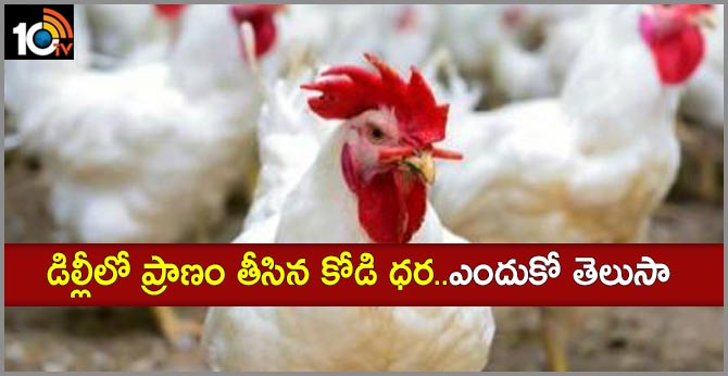 డిల్లీలో ప్రాణం తీసిన కోడి ధర..ఎందుకో తెలుసా డిల్లీలో ప్రాణం తీసిన కోడి ధర..ఎందుకో తెలుసా