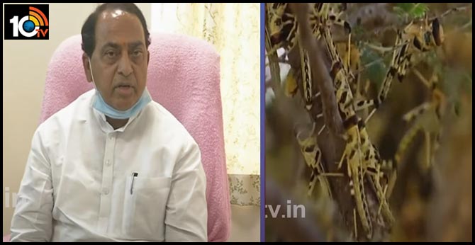 There are chances that the grasshopper will be moving towards Telangana says minister indrakaran reddy