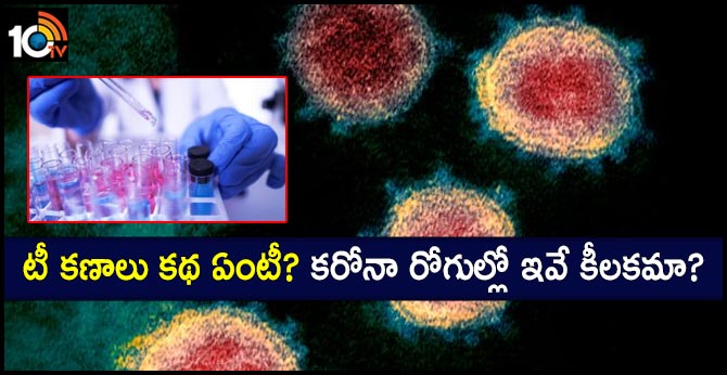 Coronavirus: what do scientists know about Covid-19 so far?