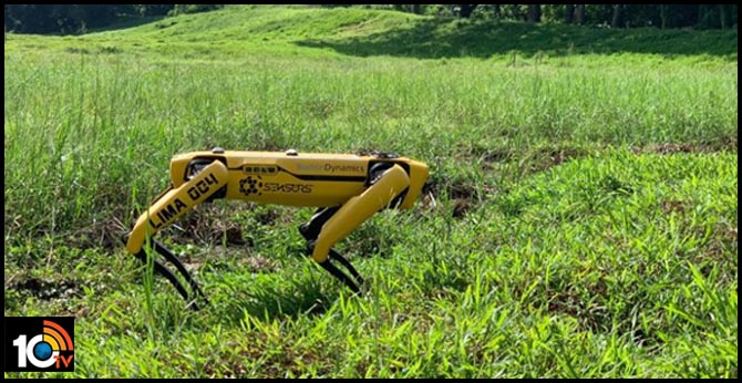 Singapore deploys robot 'dog' to encourage social distancing
