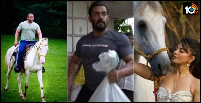Inside Salman's Panvel Farmhouse: A Center For Relief Work & Quarantine Hub For His Friends!