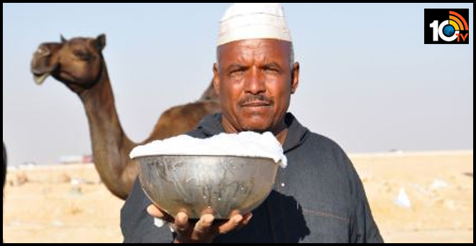 camel milk litre 600 rupees