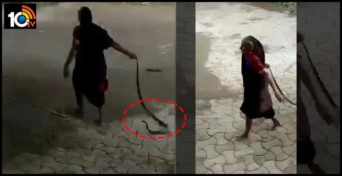 Fearless Grandma Drags Cobra, Tosses It Away In Jaw Dropping