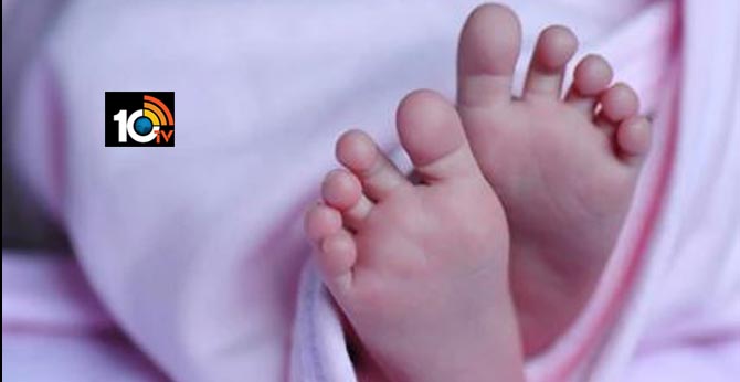 girl child dies in stray dogs attack after running around hospitals