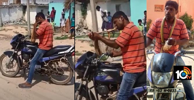 "How Dare You Block My Path": Drunk Man Shouts At Snake, Bites It Into Pieces