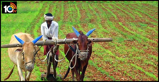Farm sector, poised to grow by 3%, remains beacon of hope amid pandemic