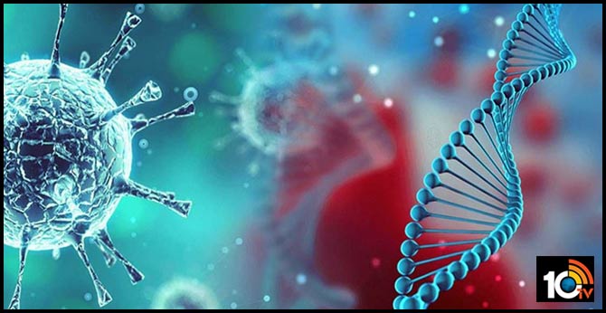 Home treatment to be taken Coronavirus mild symptoms