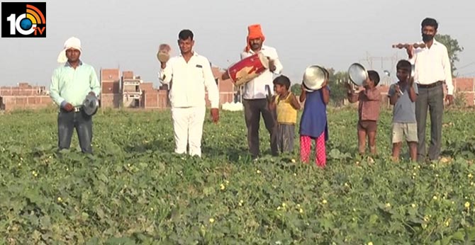 మిడతలను తరమడానికి చిన్నారుల ప్రయత్నాలు మిడతలను తరమడానికి చిన్నారుల ప్రయత్నాలు