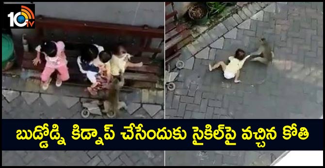 Monkey Riding A Bike Grabs Toddler, Drags Her In Shocking Video
