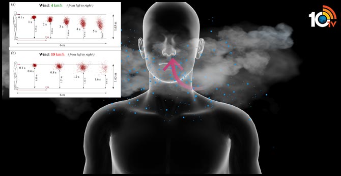 Six feet not far enough to stop virus transmission in light winds: study