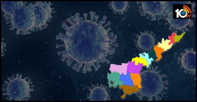 19 New Coronavirus cases in Andhra pradesh 