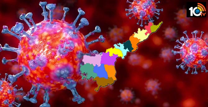 new 52 corona virus cases in ap