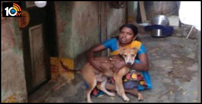 Chennai woman eats once a day, saves the rest for her 13 dogs