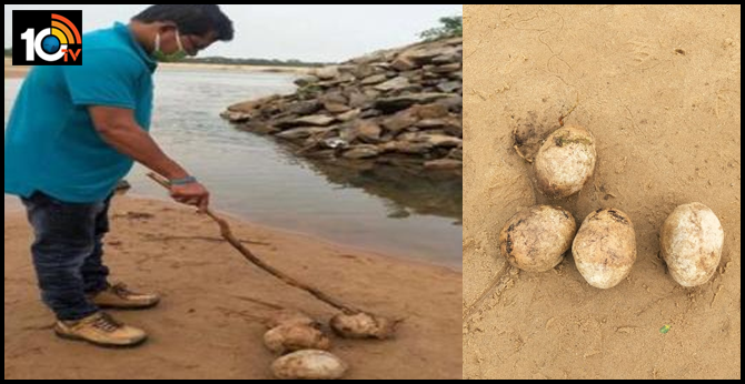 four human skulls recovered near river bank in odisha
