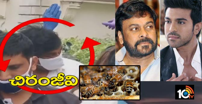 honey bees attack chiranjeevi, ramcharan
