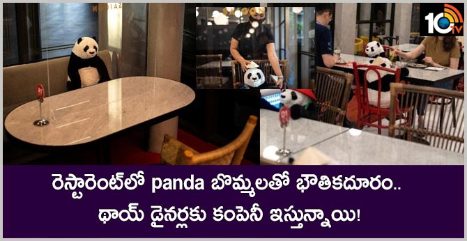 Cute Panda Dolls Are Helping Thai Diners Practise Social Distancing While Giving Them Company