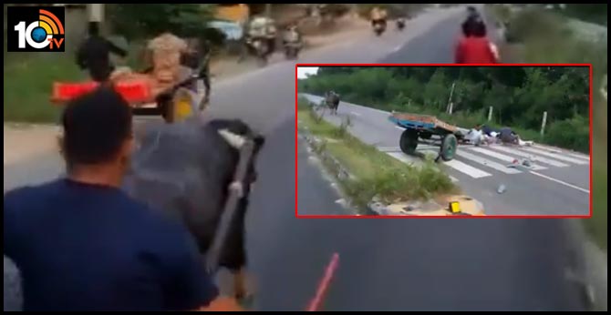 ఆ ఐదుగురిపై పగ తీర్చుకున్న బర్రె.. వీడియో వైరల్ ఆ ఐదుగురిపై పగ తీర్చుకున్న బర్రె.. వీడియో వైరల్