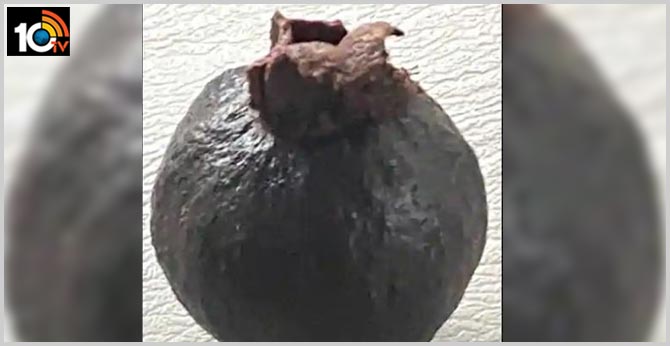 Do you know black guava exists in nature? These amazing pics will surprise you