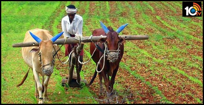 14 ఖరీఫ్ పంటలకు కనీస మద్దతు ధర పెంపు 14 ఖరీఫ్ పంటలకు కనీస మద్దతు ధర పెంపు