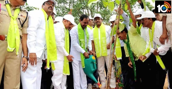 6th phase haritha haram